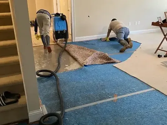 Technician running an extraction wand across soaked carpet